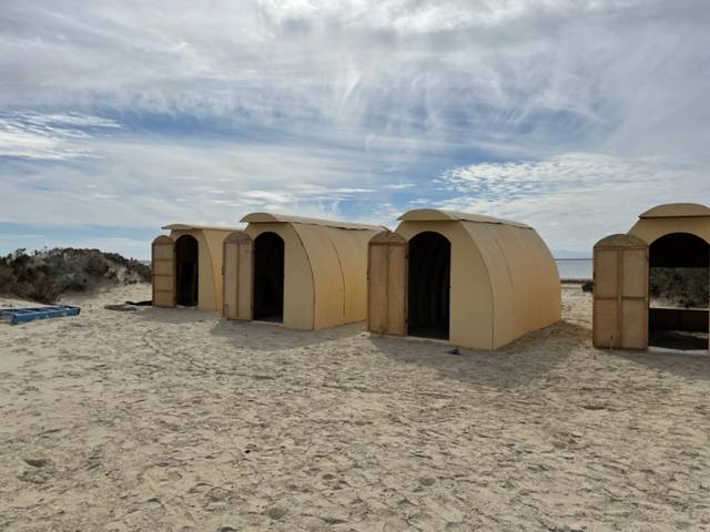 Grey whale tours gallery image