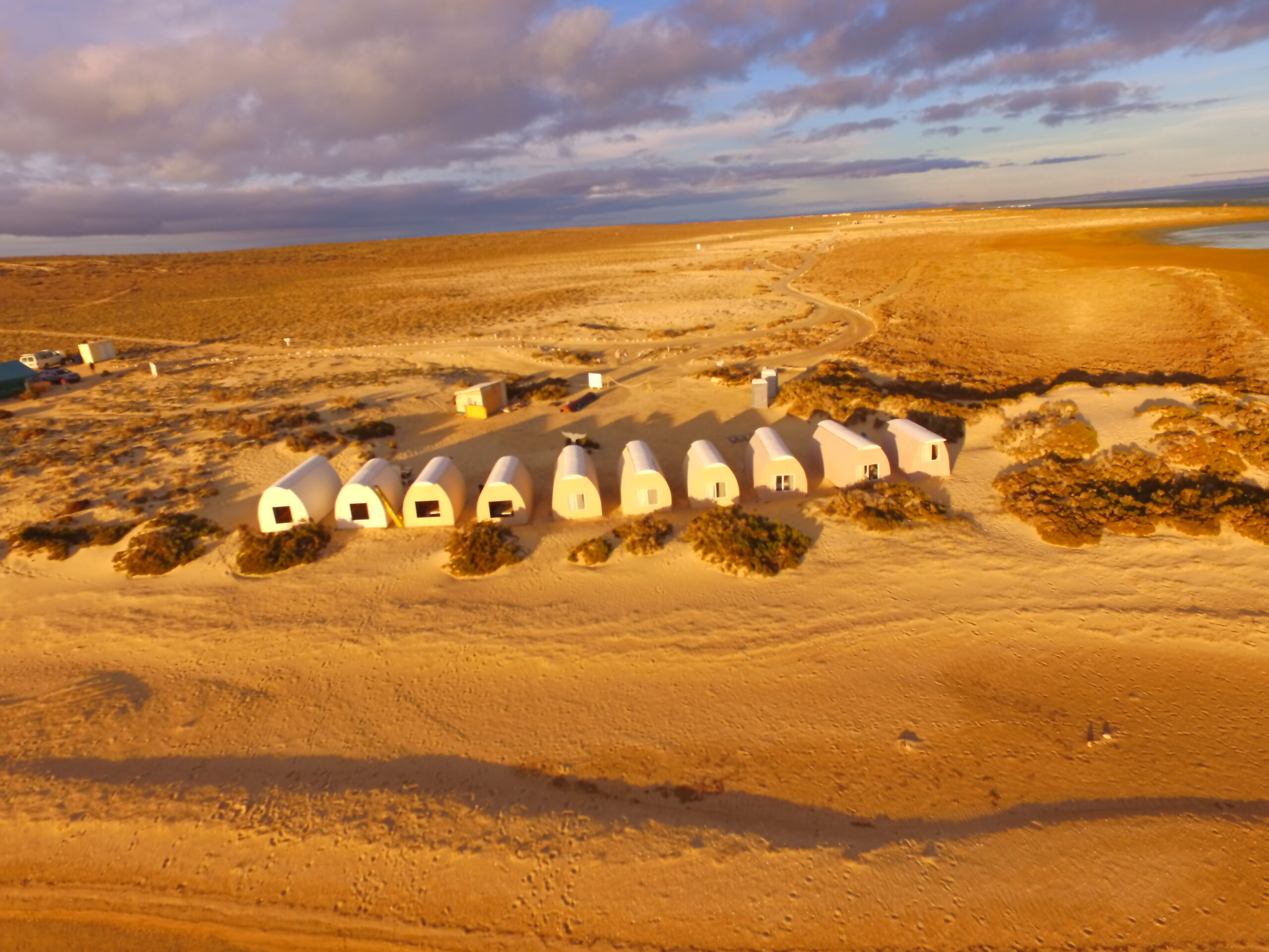 Grey whale tours gallery image