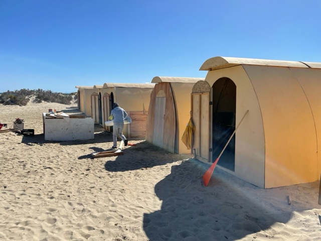 Grey whale tours gallery image