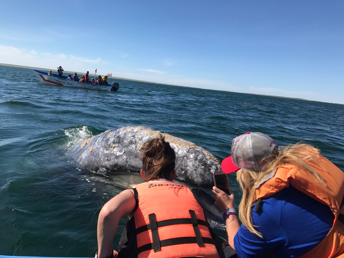 Terms of Service photo